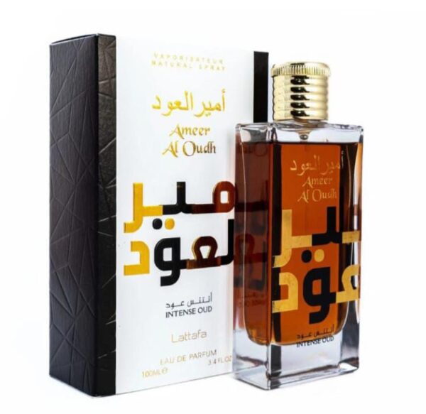 Ameer AL oudh