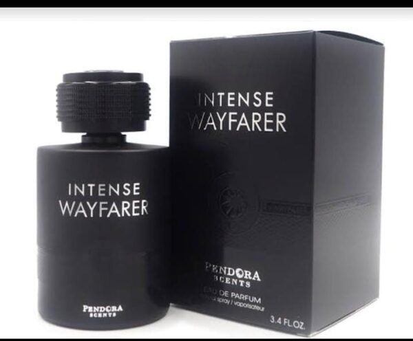 Intense-wayfarer